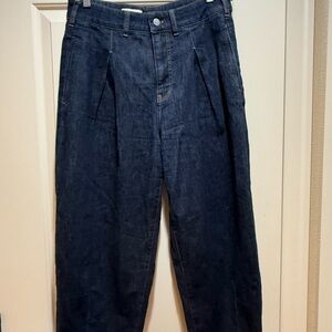 Euc Pilcro  Denim Balloon leg  Pants